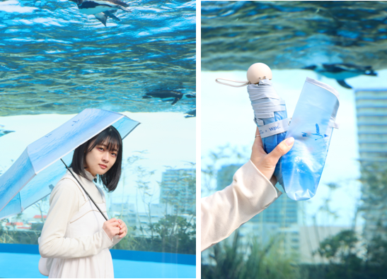 フライングペンギン アンブレラ