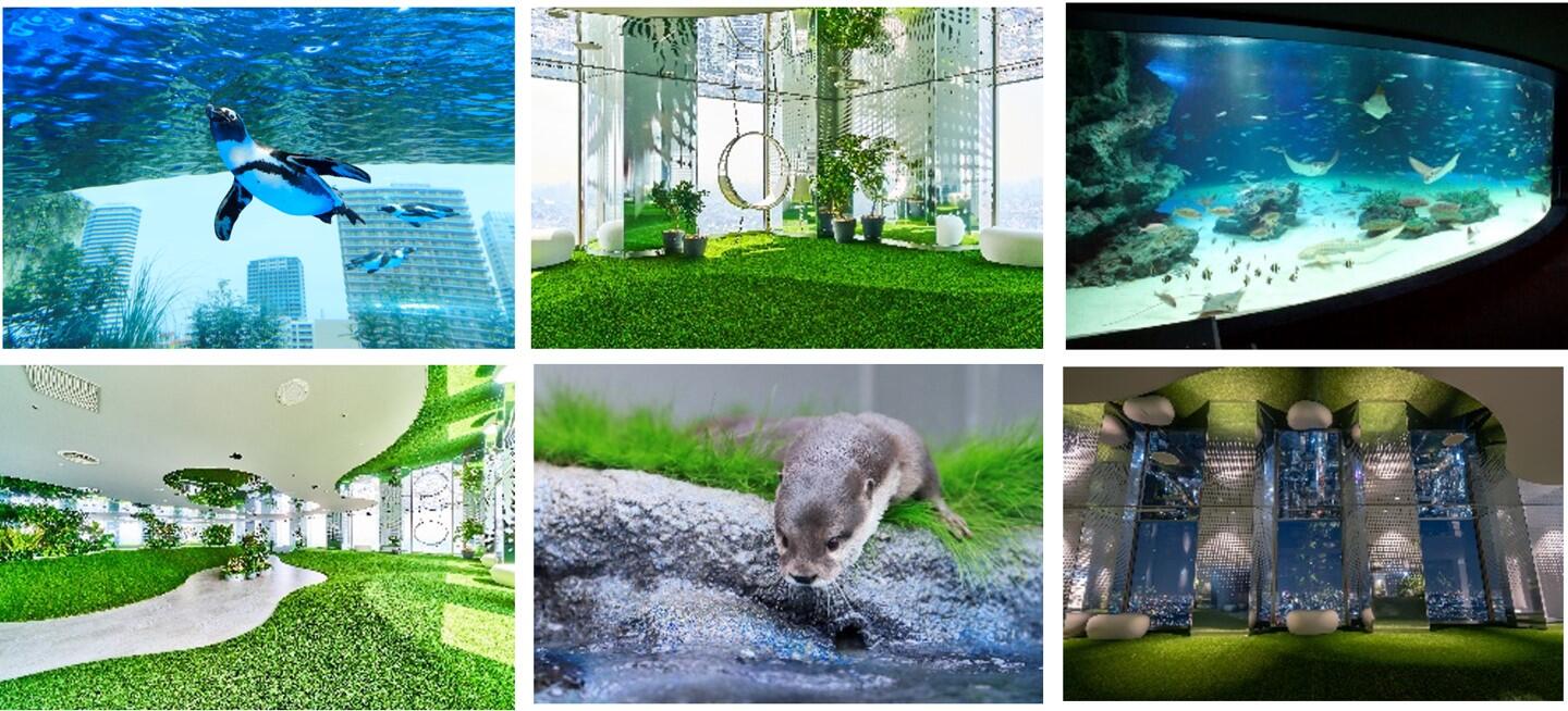 サンシャイン水族館＆サンシャイン60展望台 てんぼうパーク　お得な割引サービスのご案内